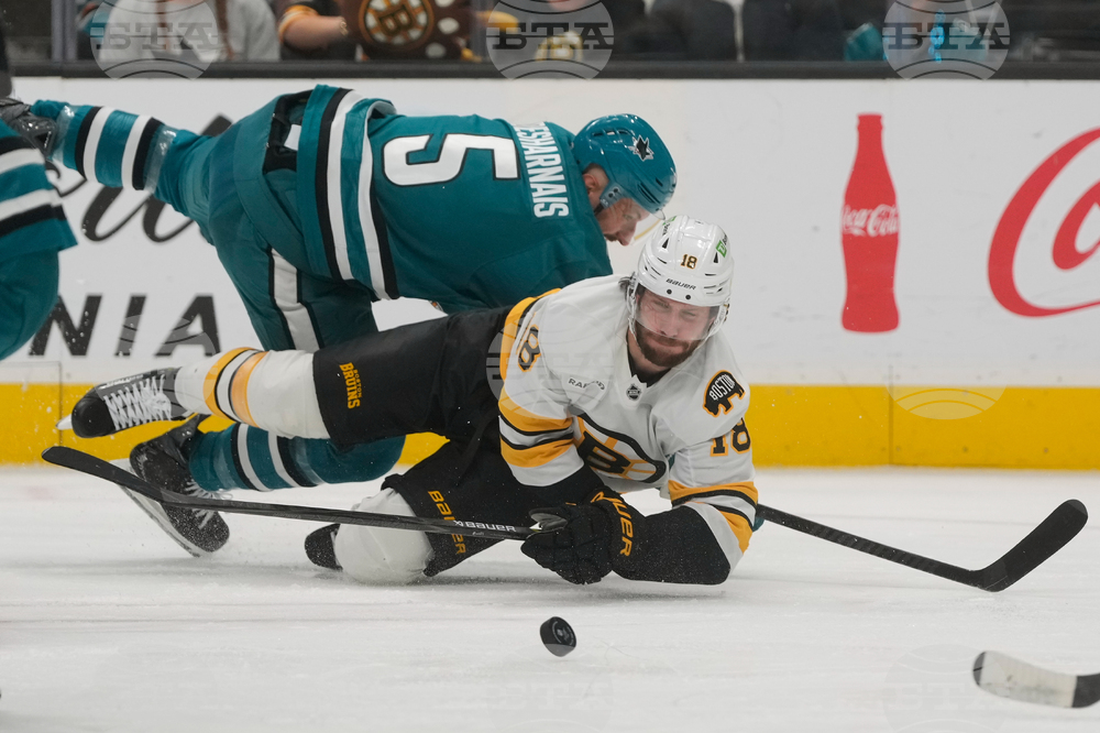 Bruins Sharks Hockey