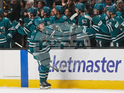 Bruins Sharks Hockey