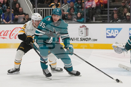 Bruins Sharks Hockey