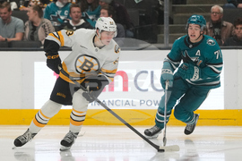 Bruins Sharks Hockey