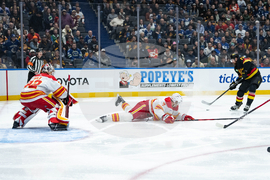 Flames Canucks Hockey