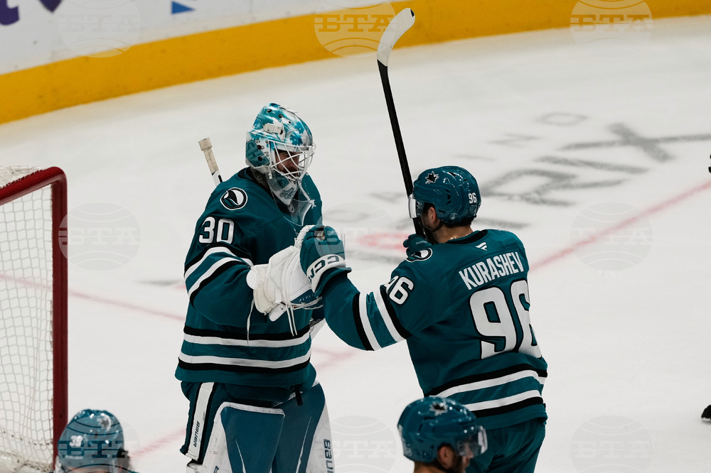 Bruins Sharks Hockey