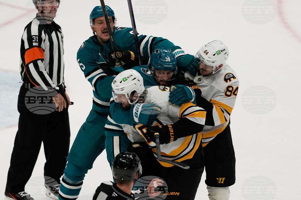 Bruins Sharks Hockey