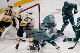 Bruins Sharks Hockey