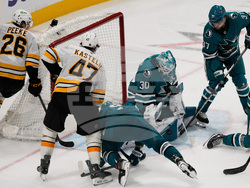 Bruins Sharks Hockey