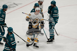 Bruins Sharks Hockey