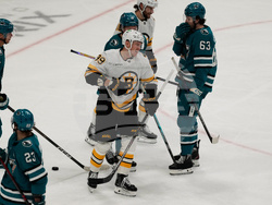 Bruins Sharks Hockey