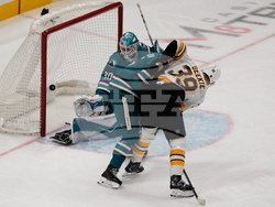 Bruins Sharks Hockey