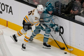 Bruins Sharks Hockey