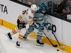 Bruins Sharks Hockey