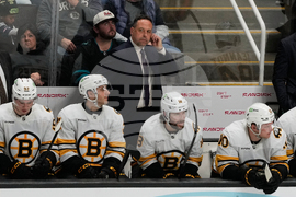 Bruins Sharks Hockey