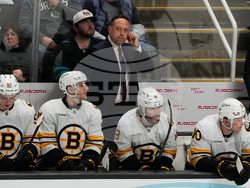 Bruins Sharks Hockey