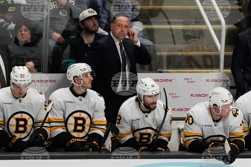 Bruins Sharks Hockey