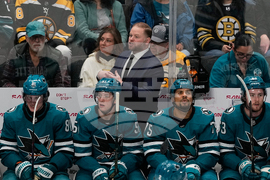 Bruins Sharks Hockey