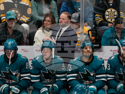 Bruins Sharks Hockey