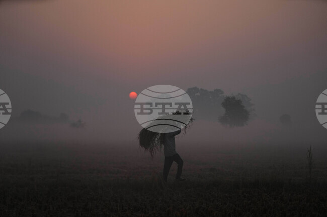 APTOPIX India Daily Life