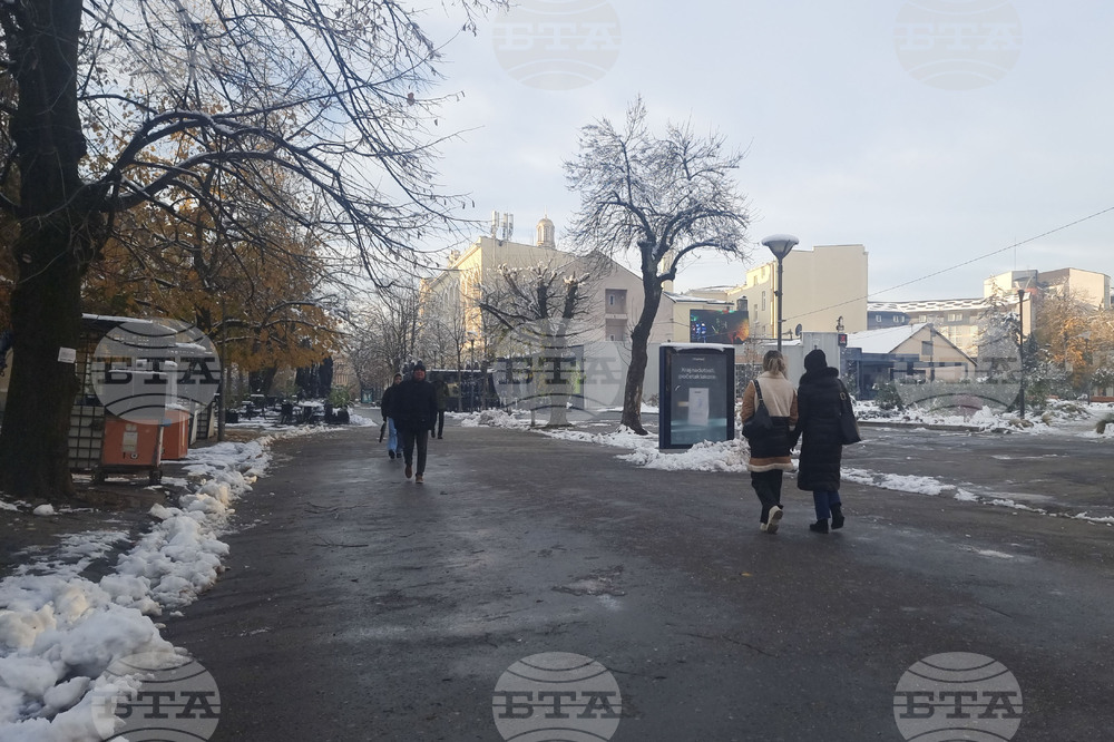 Босна и Херцеговина - Република Сръбска - предсрочни президентски избори - избирателна активност