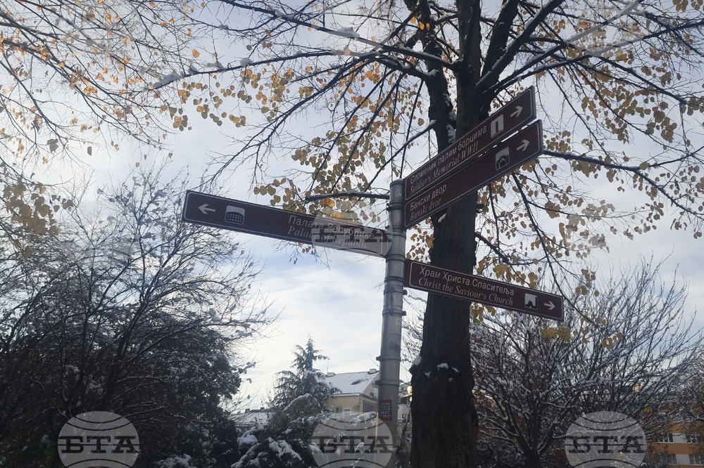 Босна и Херцеговина - Република Сръбска - предсрочни президентски избори - избирателна активност