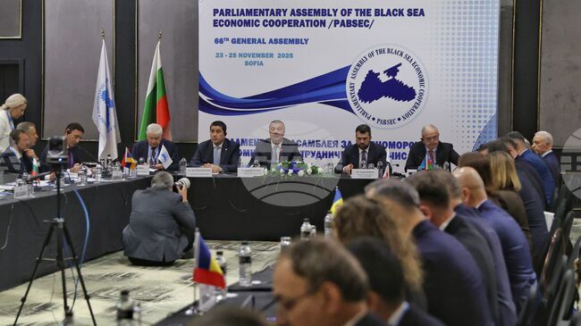 Засилването на сътрудничеството с Европейския парламент е един от приоритетите на ПАЧИС, заяви зам.-председателят на парламента Драгомир Стойнев