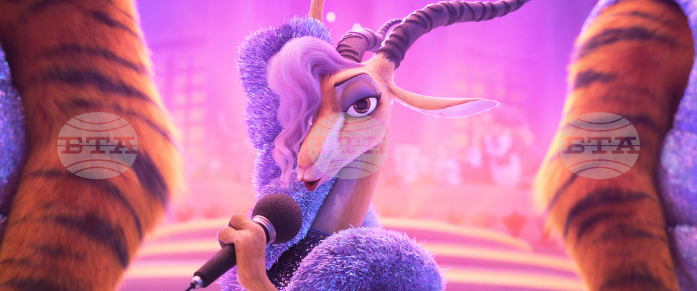 Film Review - Zootopia 2