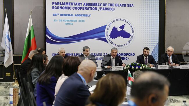 Parliamentary Deputy Chair: Strengthening Cooperation with EP Is Parliamentary Assembly of Black Sea Economic Cooperation's Priority