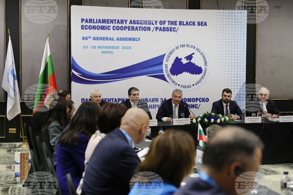 Parliament Deputy Chair: BSEC Parliamentary Assembly Seeks Stronger Cooperation with European Parliament