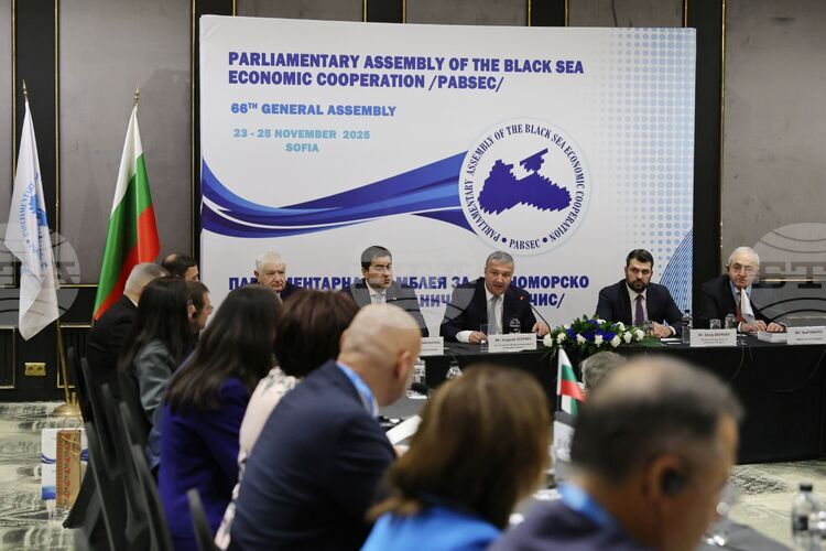 Parliament Deputy Chair: BSEC Parliamentary Assembly Seeks Stronger Cooperation with European Parliament
