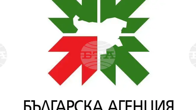 Angel Ivanov Appointed Acting Executive Director of the InvestBulgaria Agency