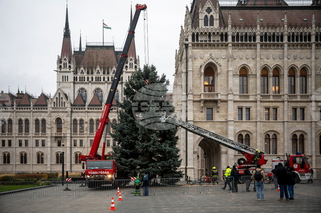 Hungary Christmas Preparations