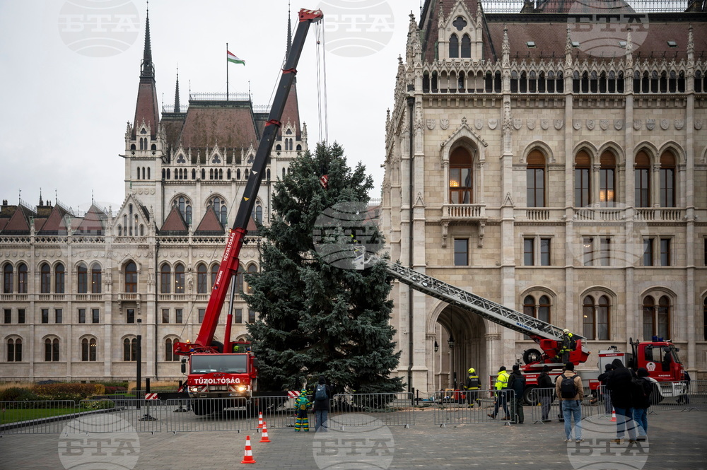 Hungary Christmas Preparations
