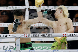 Japan Boxing Nasukawa Inoue