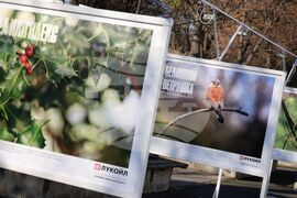 Бургас - „Биоразнообразието в „Лукойл Нефтохим Бургас“ - изложба