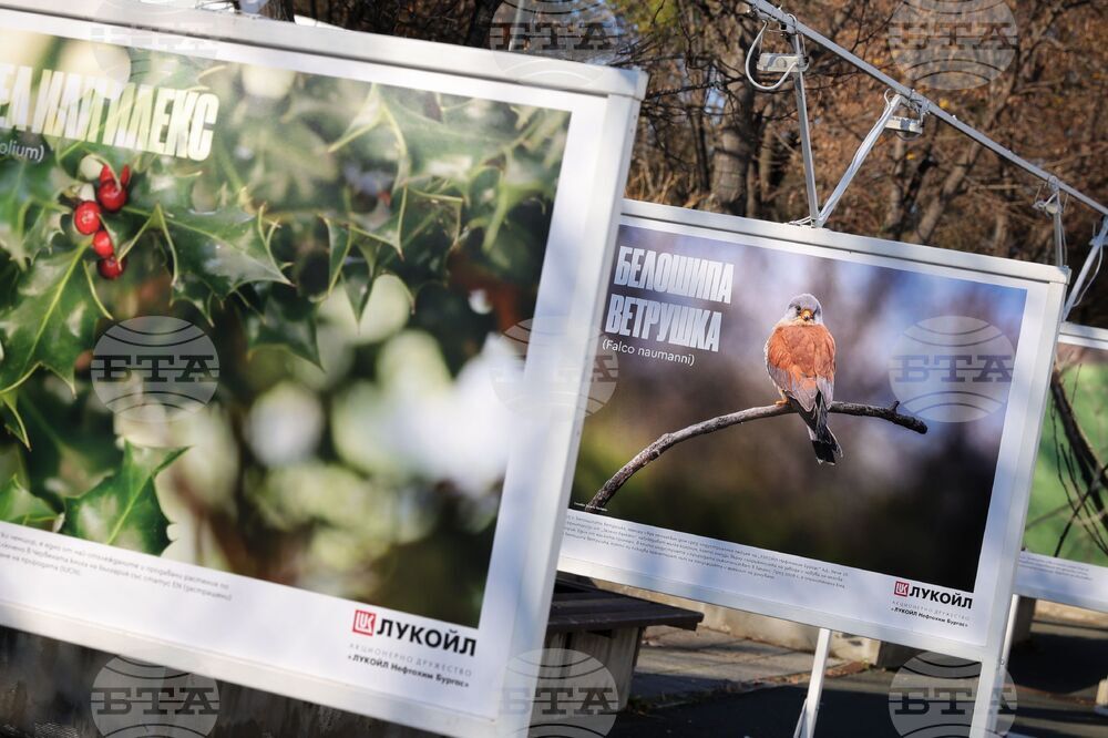 Бургас - „Биоразнообразието в „Лукойл Нефтохим Бургас“ - изложба