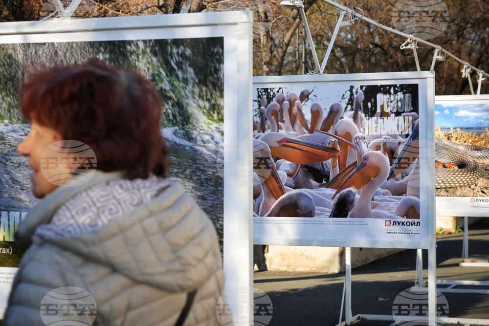 Бургас - „Биоразнообразието в „Лукойл Нефтохим Бургас“ - изложба