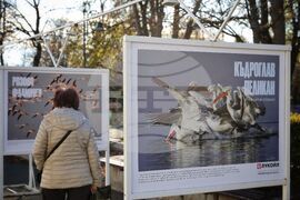 Бургас - „Биоразнообразието в „Лукойл Нефтохим Бургас“ - изложба