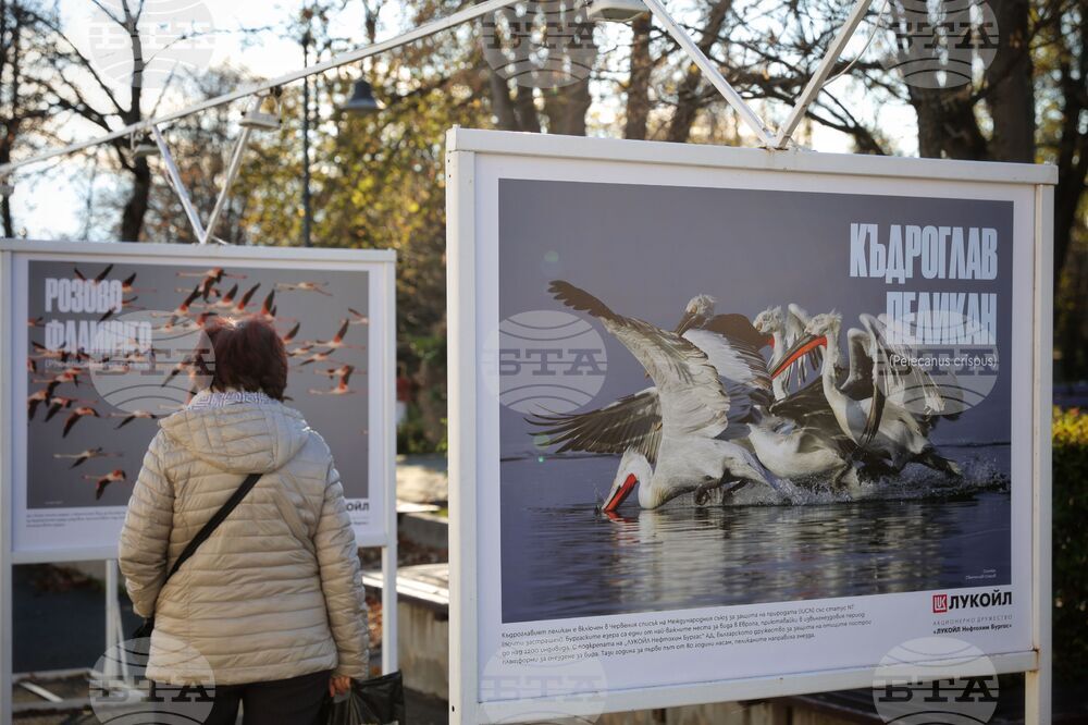 Бургас - „Биоразнообразието в „Лукойл Нефтохим Бургас“ - изложба