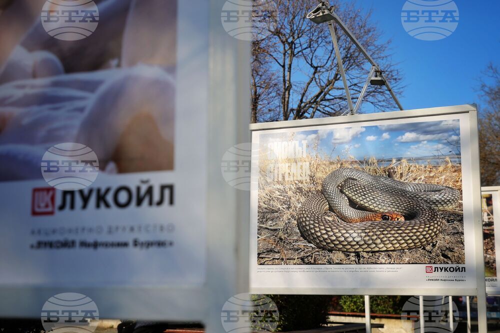 Бургас - „Биоразнообразието в „Лукойл Нефтохим Бургас“ - изложба