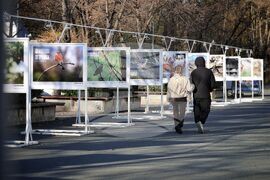 Бургас - „Биоразнообразието в „Лукойл Нефтохим Бургас“ - изложба