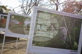 Бургас - „Биоразнообразието в „Лукойл Нефтохим Бургас“ - изложба
