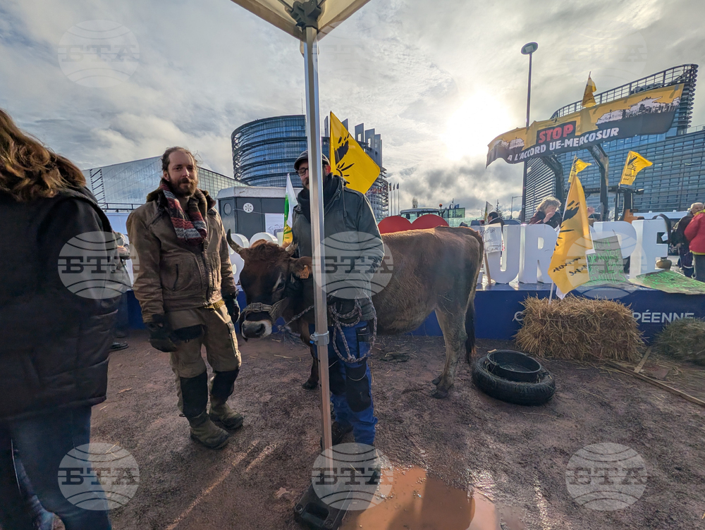Франция - Страсбург - фермери - протест