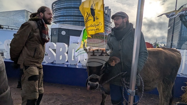 Френски фермери протестират срещу споразумението между ЕС и Меркосур пред сградата на Европейския парламент