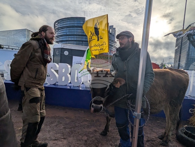 Франция - Страсбург - фермери - протест