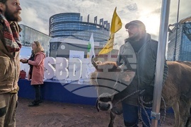 Франция - Страсбург - фермери - протест