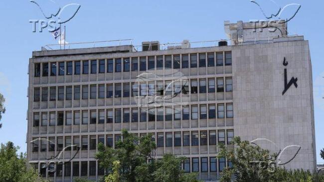 ТПС: Изследване за произхода на езика може да трансформира детското развитие и изкуствения интелект