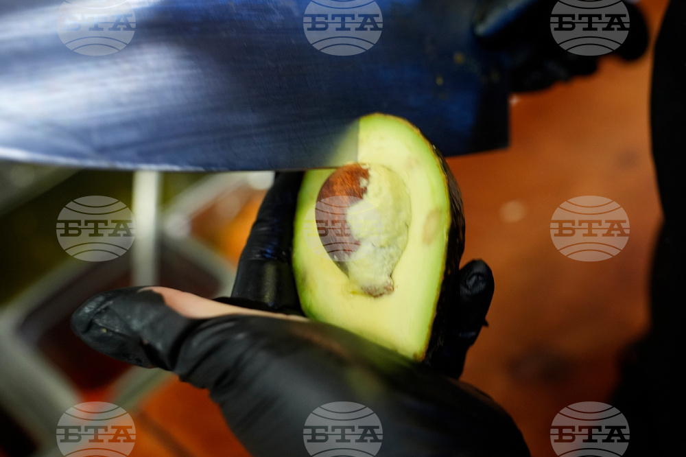 Gardening-Growing an Avocado