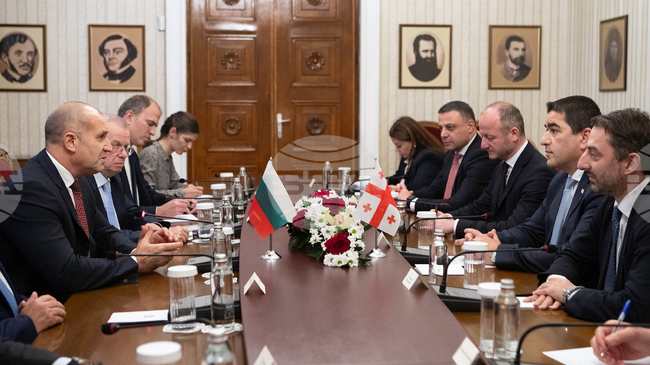 България и Грузия имат потенциал да задълбочат свързаността си, каза президентът Румен Радев на среща с председателя на парламента на Грузия