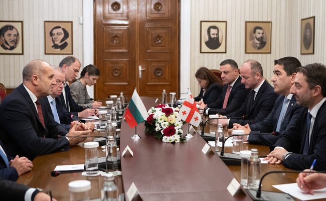 Bulgaria, Georgia Have Potential to Deepen Connectivity, President Radev Says