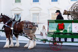 Trump White House Holidays