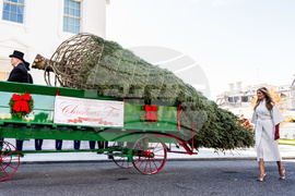 Trump White House Holidays