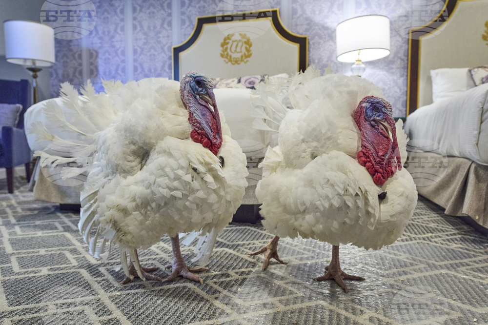 Trump Turkey Pardon